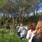 Atitudo Nature *