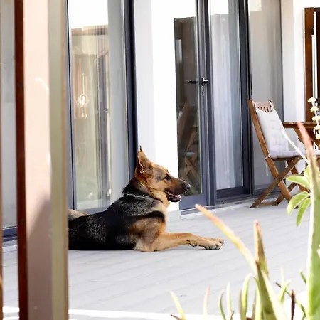 Atitudo Nature * ポルティマン